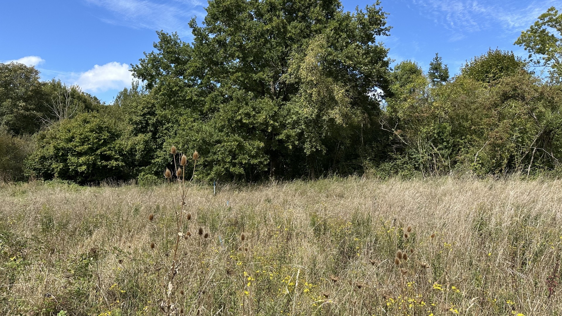 Custines | Exclusivité Maisons Atrium