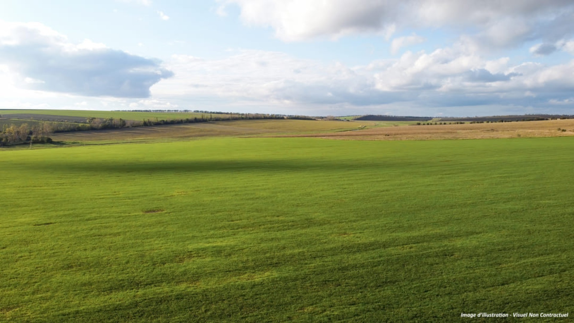 Terrain | Viterne