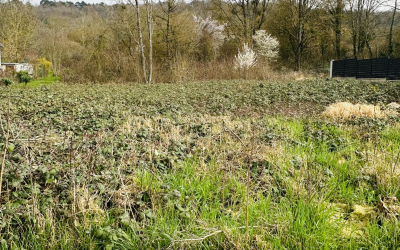 Malzéville | Maisons Atrium