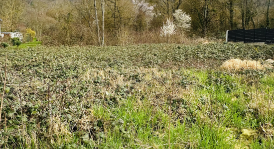 Malzéville | Maisons Atrium