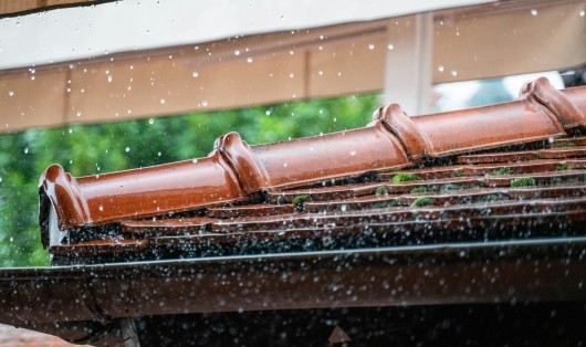 Comment installer un système de récupération des eaux de pluie ? | Maisons Atrium
