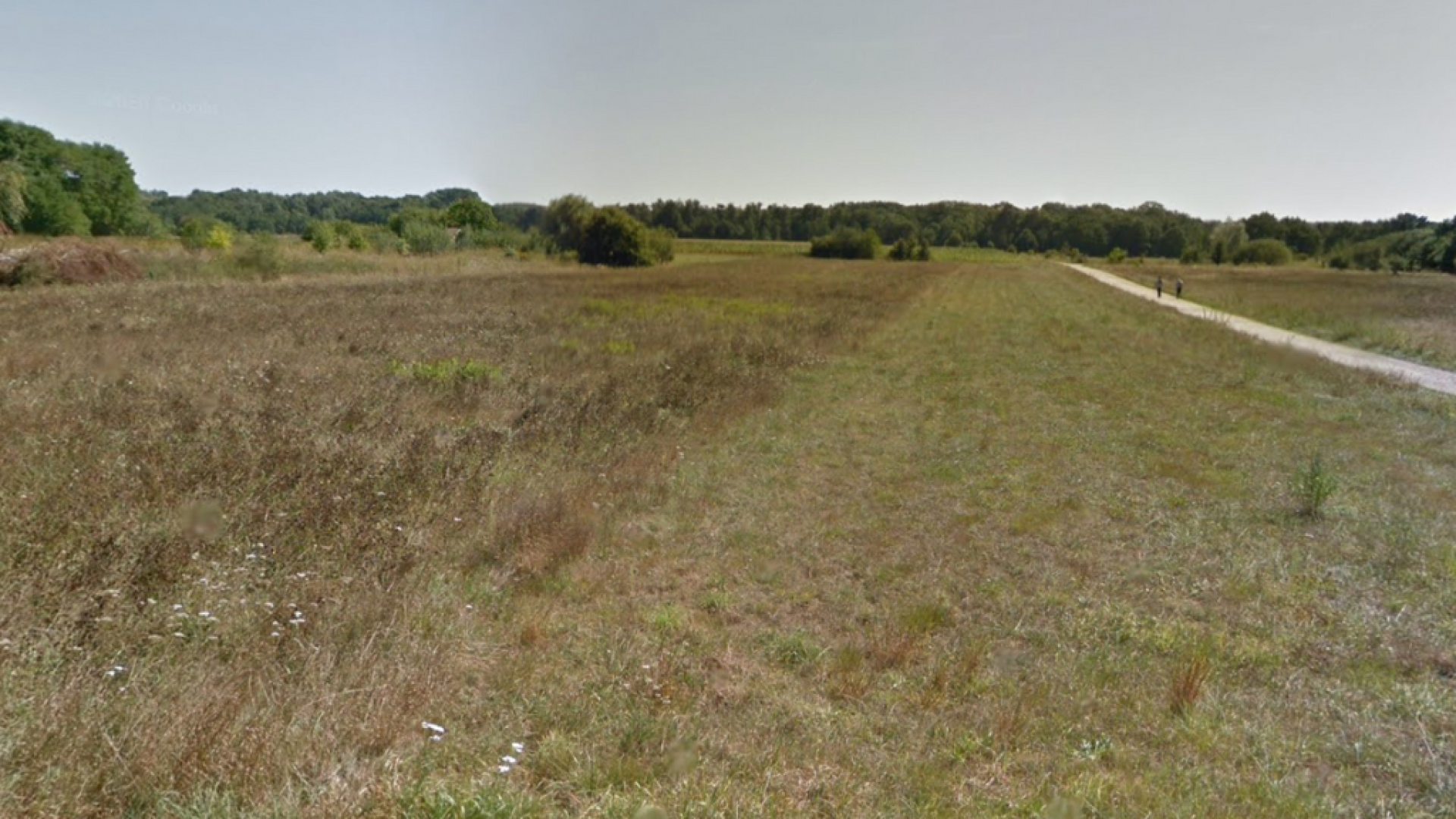 Terrain | Dombasle | Maisons Atrium