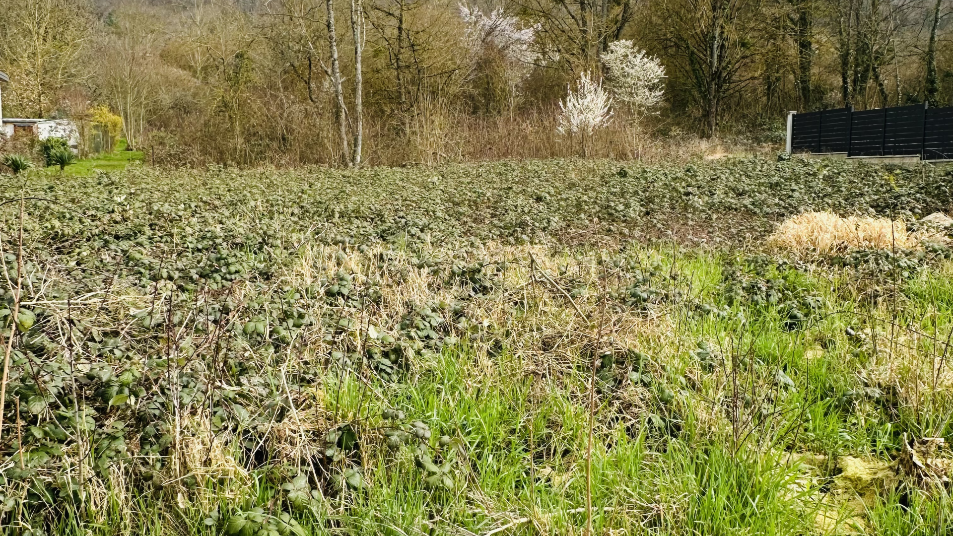 Malzéville | Maisons Atrium
