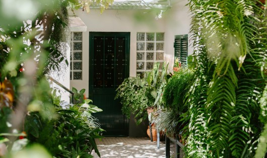 Idées saisonnières pour améliorer sa maison toute l’année