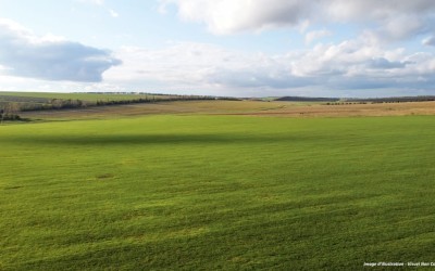 Terrain | Viterne