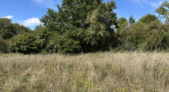 Custines | Exclusivité Maisons Atrium