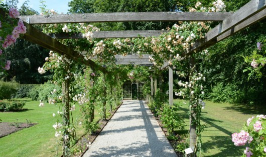 Aménagement paysager : comment sublimer votre jardin ? | Maisons Atrium